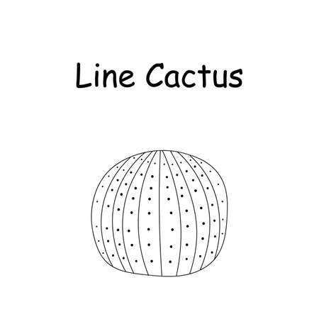 Vector doodle illustration of a cactus. hand drawn cactus. Doodle line mexican cactus.のイラスト素材