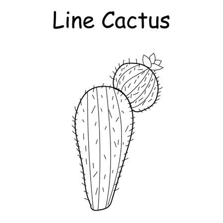 Vector doodle illustration of a cactus. hand drawn cactus. Doodle line mexican cactusのイラスト素材