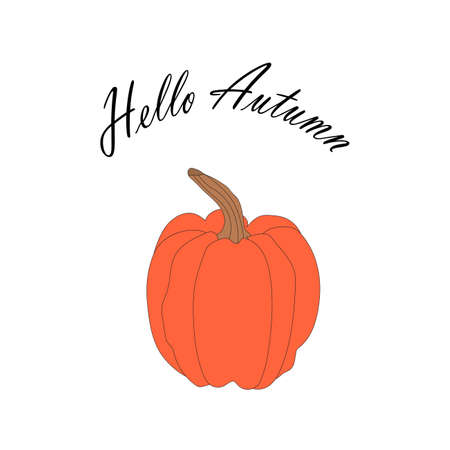 orange pumpkin illustration, lettering hello autumn. autumn harvest illustration.のイラスト素材
