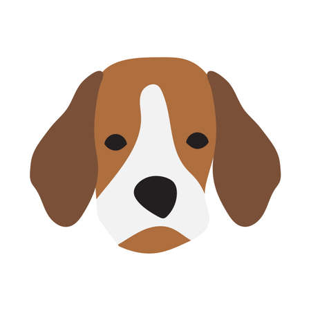 cute doodle illustration of dog breed American foxhound, beagle. dog in minimalist style.のイラスト素材