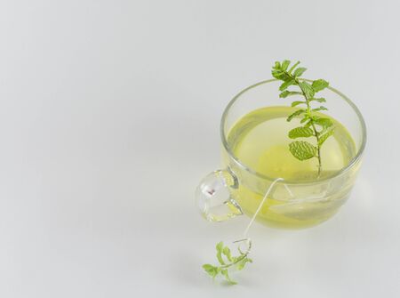 a cup of green teaの写真素材