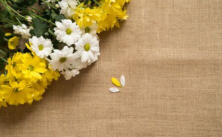Bouquet of camomiles at burlap background with leaves.の写真素材