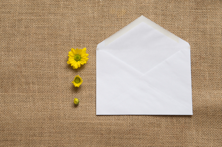 White envelope with yellow camomileの写真素材