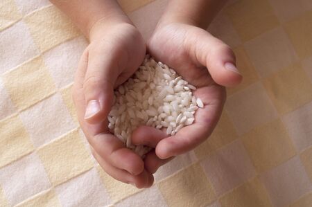 Rice in handsの写真素材