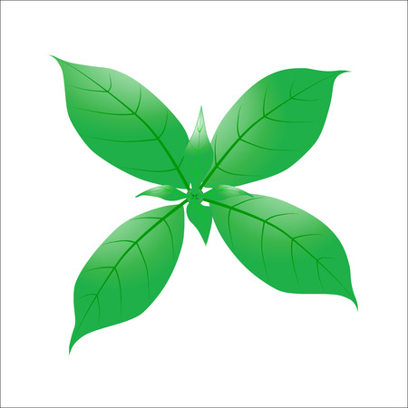 Eco concept, with green leaf.Vector Illustration EPS 10.のイラスト素材