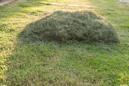 Hay background  a bale of hay as an agriculture farm and farming.の写真素材