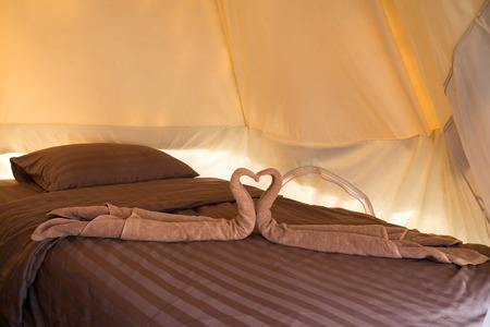 Greeting in hotel room towels in swan shapes, Towel art, maid service.の写真素材