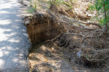 The hole in the rock. The hole in the ground is covered with roots.の写真素材