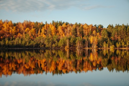 Reflection of trees in water at golden sunset. Beautiful autumn landscape.の写真素材