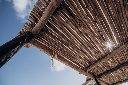 The sun shines through a canopy of palm leaves. Mexico. Cancun. Cozumelの写真素材