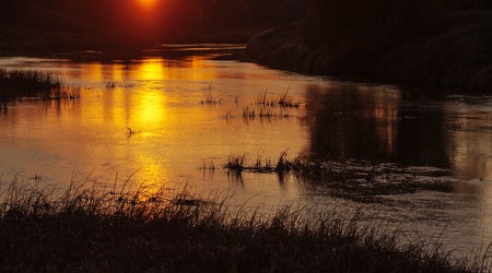 The sun at sunset is reflected in the river