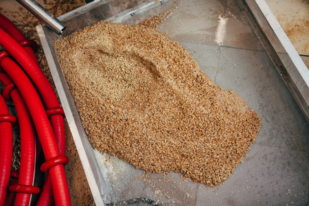 Spent malt is poured into a pan from a tank in a private brewery.