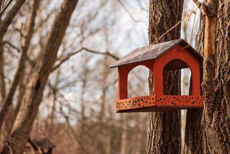 Red wooden birdhouse birdhouse on tree for birds. feeder, bird care.