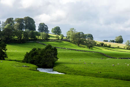 A country scene near Slaidburn, Lancashire, UK.の写真素材