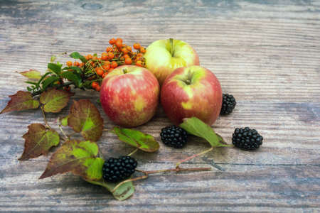 Tasty and ripe, autumnal fruit, readt to be eaten.の写真素材