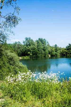 Longton Nature reserve is a haven for wildlife and is near Preston, Lancashire.の写真素材
