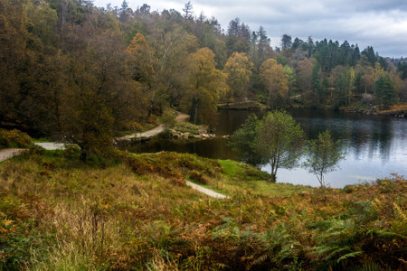 Situated near Coniston, Tarn Hows offers many picturesque views of the local area.の写真素材