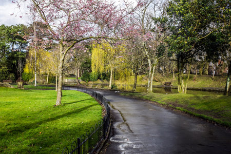 Early spring in Botanic Gardens, Southport.の写真素材
