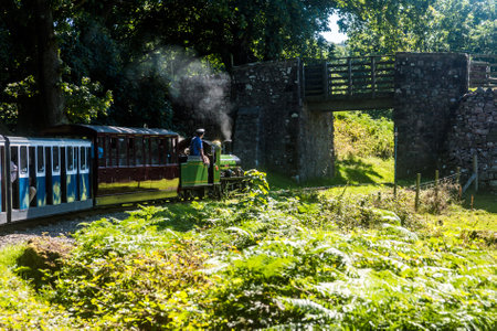 Steam locomotive "River Irt" and train approaching Dalegarth, Cumbria.の写真素材