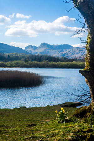 Elterwater with the Landdale Pikes in the distance.の写真素材