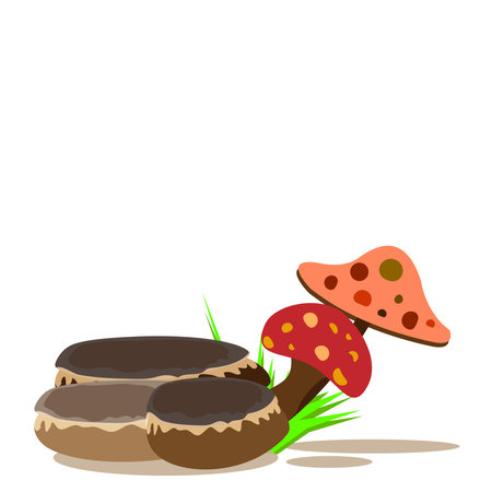 Mushroom on a white background. Vector illustration. Eps 10のイラスト素材