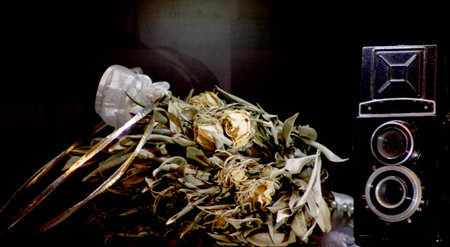 traditional greek wedding rings with photo and rosesの写真素材