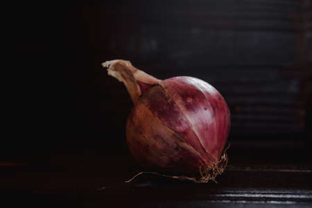 Red onion isolated on dark backgroundの写真素材