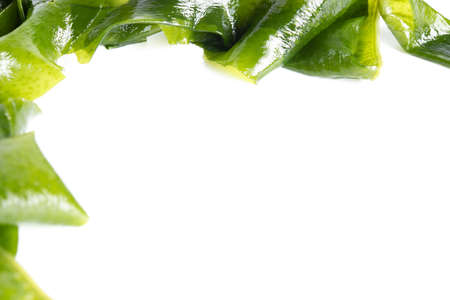 Fresh seaweed wakame isolated on white background with copy space. Japanese foodの写真素材