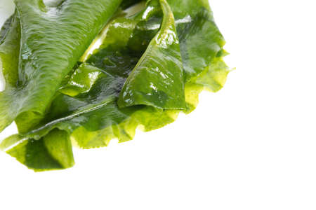 Fresh seaweed wakame isolated on white background. Japanese foodの写真素材