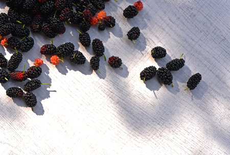 Piles of fresh mulberries on white wooden background.の写真素材