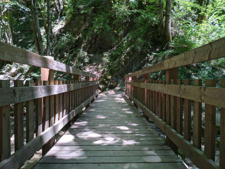 wooden bridge in the forestの写真素材