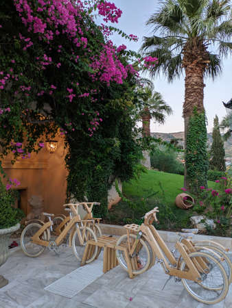 bike rental near the beachの写真素材