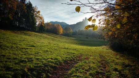 dawn over a green meadowの写真素材