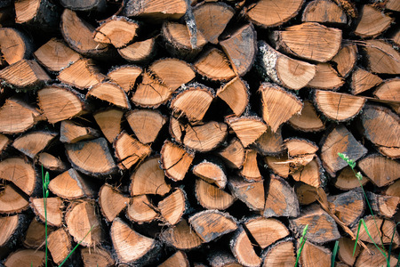 Firewood