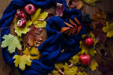Pomegranate, autumn leaves and blue scarfの写真素材
