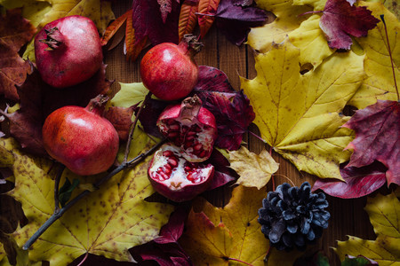 Autumn leaves and pomegranateの写真素材