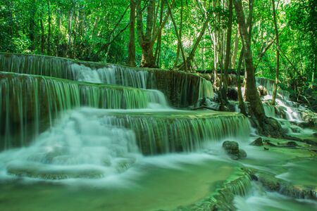 waterfall in forestの写真素材
