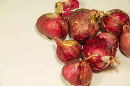 raw material for a thaifoodの写真素材