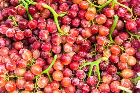 red grapeの写真素材