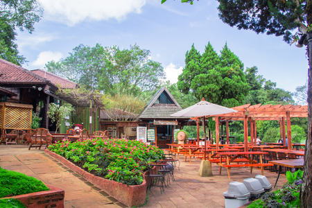 coffee shop on gardenの写真素材