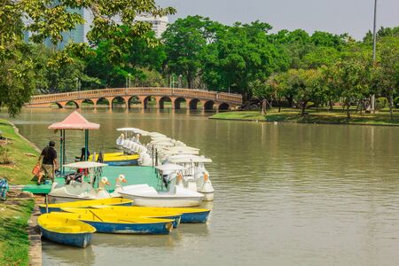 pedal boat in the parkの写真素材