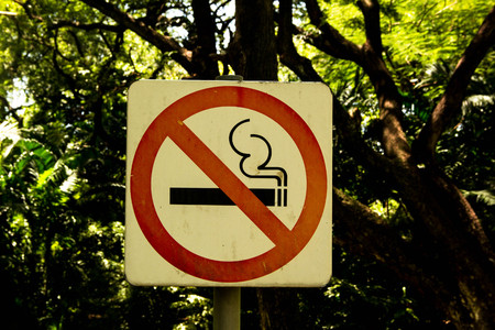 no smoking sign in the parkの写真素材
