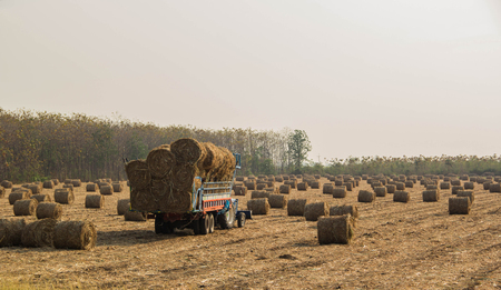 Farmers harvesting hay by tractoresの写真素材
