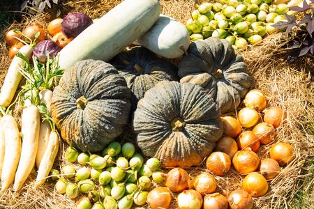 food photography of the variety of vegetables at the marketの写真素材