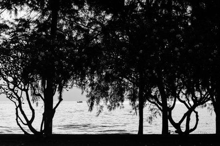Beautiful sunset at the beach in the tropics. Sky and ocean.の写真素材