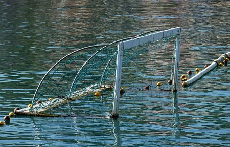 sport water poloの写真素材
