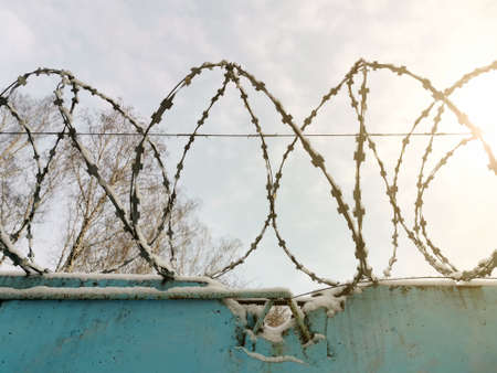 Barbed wire on a high fence close-up against the clear winter sky