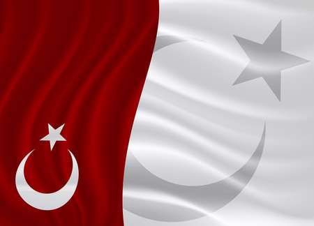 Template greeting card to a state holiday with Turkish national symbols. Vector flag with a star and crescent.のイラスト素材