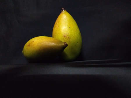 Raw mango in indian village farm image raw mango imageの写真素材
