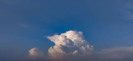 Sky blue white clouds tree image in india background wallpaper sky clouds wallpaper imageの写真素材